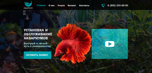Лендинг про аквариумы
