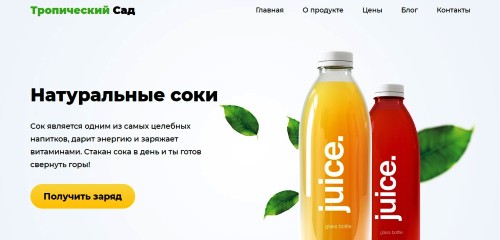 Лендинг про соки